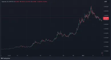 Rast kryptomeny Algorand