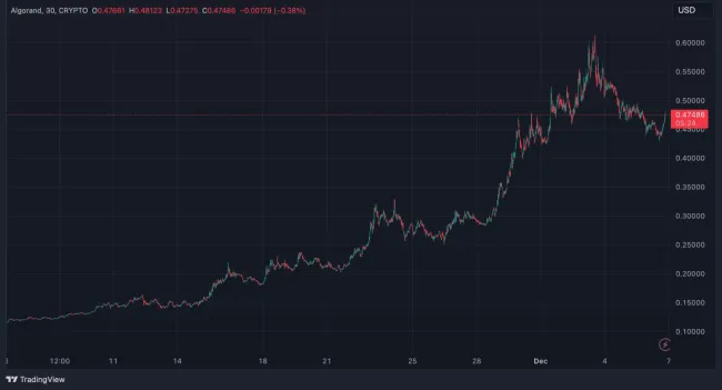 Rast kryptomeny Algorand