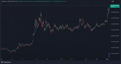 Shiba Inu vzrástla o 35 percent