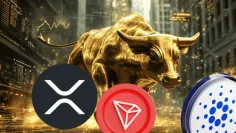 Tieto kryptomeny majú potenciál