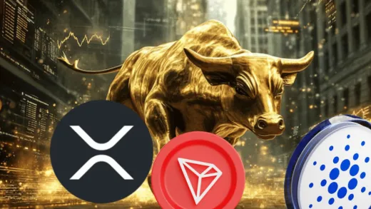 Tieto kryptomeny majú potenciál