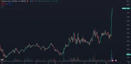 Token BNB prekonal historické maximum