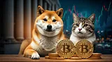 Top 3 meme coiny