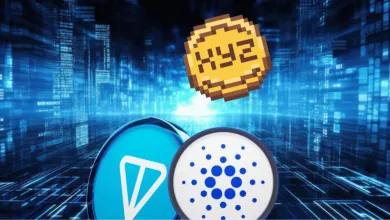 Úspešný predpredaj XYZVerse