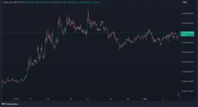 Vývoj FLOKI za posledný mesiac