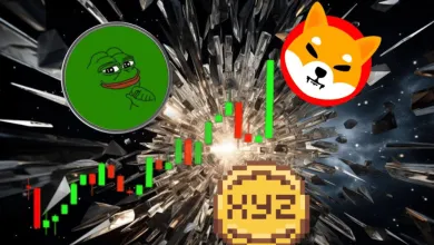 XYZVerse chce konkurovať PEPE a SHIB