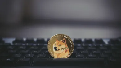 5 zaujímavých memecoinov