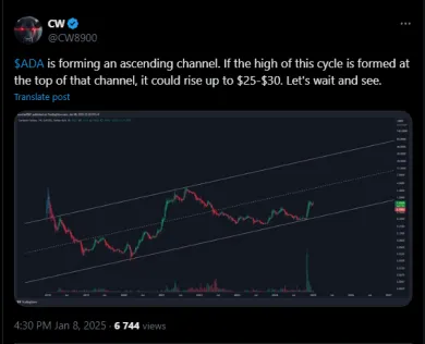 Aktuálny cenový vývoj Cardana