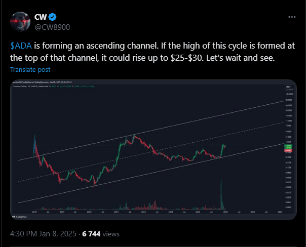 Aktuálny cenový vývoj Cardana
