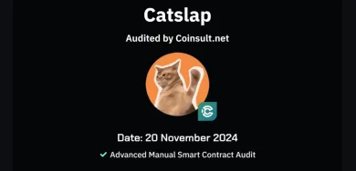 Audit kryptomeny CatSlap