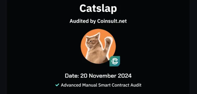 Audit kryptomeny CatSlap