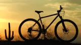 Bankrot Kaktus Bike