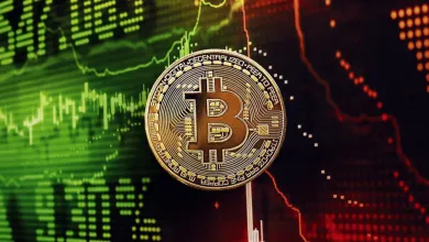 Bitcoin má za sebou úspešný rok