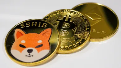 Bitcoin zasiahla kritika od Petra Schiffa