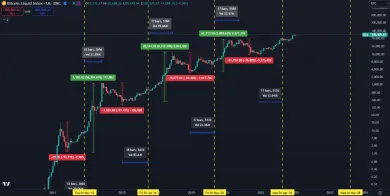 Bitcoinové halvingové cykly