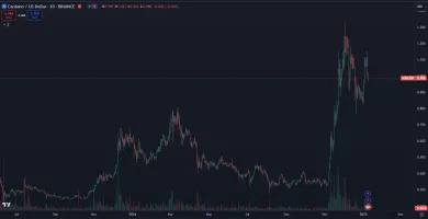 Cardano predčilo všetky očakávania.