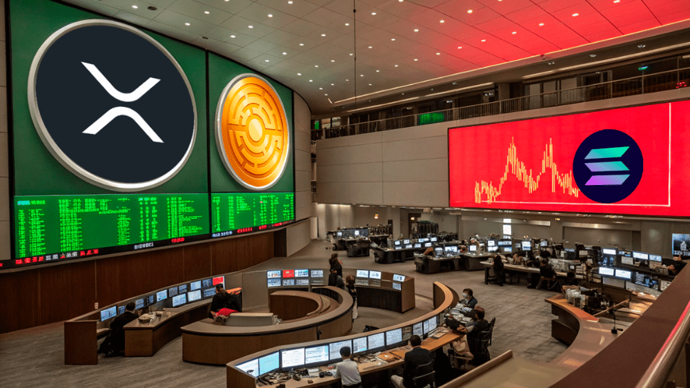 CME Group oznámenie spustilo rast kryptomien