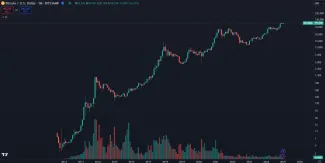 Dlhodobý rast Bitcoinu