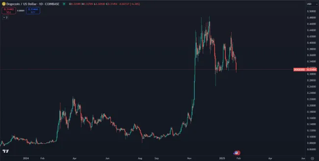 DOGE je najväčší meme coin. Zdroj: TradingView