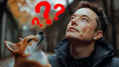 Dogecoin prudko stúpa aj v roku 2025