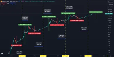Halvingové cykly bitcoinového indexu