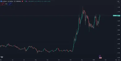 Investori akumulujú Cardano