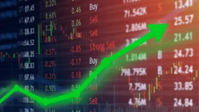 Kryptomena Beerbear ma potenciál