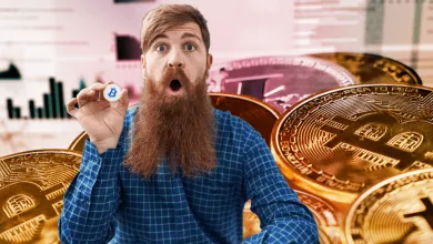 Kryptomeny opakujú tento scenár každé 4 roky