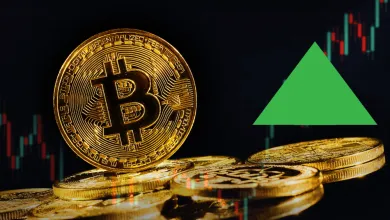 Po Bitcoine môže stúpnuť aj táto kryptomena