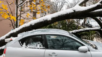 Poisťovne pri škodách preverujú zimnú údržbu