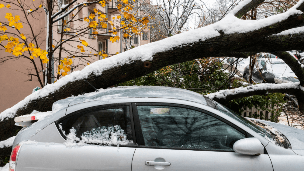 Poisťovne pri škodách preverujú zimnú údržbu