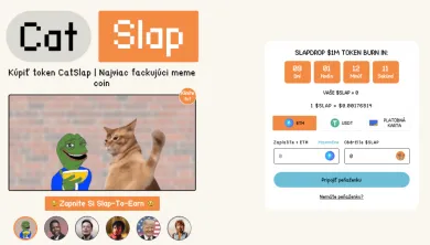 Projekt Catslap