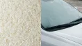 Ryža dokáže niekedy skutočne pomôcť