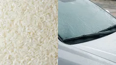 Ryža dokáže niekedy skutočne pomôcť