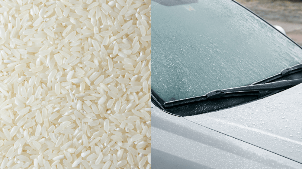 Ryža dokáže niekedy skutočne pomôcť