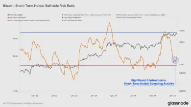 Správanie investorov na trhu s BTC
