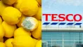 Tesco bojuje proti plytvaniu potravinami