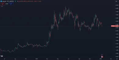 Toncoin sa stal skokanom roka