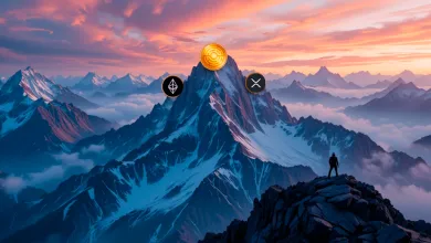 Top 3 kryptomeny ako lídri trhu