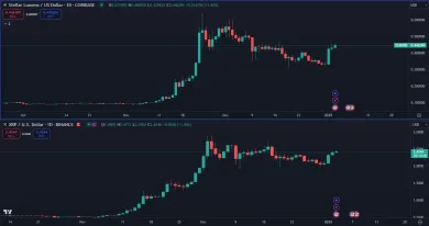 XRP a XLM pokračujú v raste