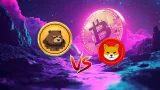 BeerBear môže byt nasledovníkov Shiba Inu