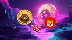 BeerBear môže byt nasledovníkov Shiba Inu