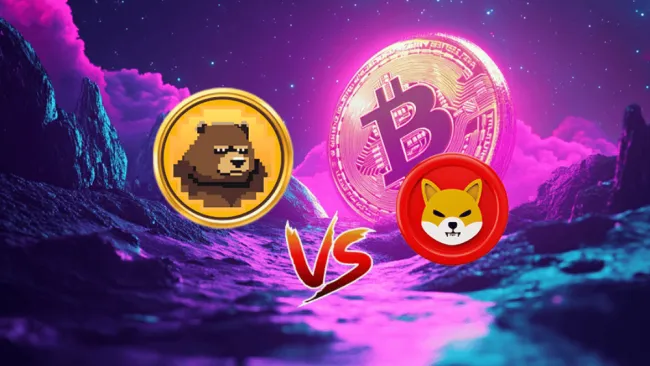 BeerBear môže byt nasledovníkov Shiba Inu