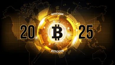 Bitcoin a adopcia v roku 2025