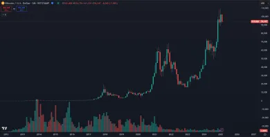 Dlhodobé zhodnotenie BTC