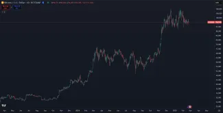 Dlhodobý vzostup Bitcoinu