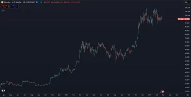 Dlhodobý vzostup Bitcoinu