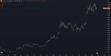 Dlhodobý vzostup BTC