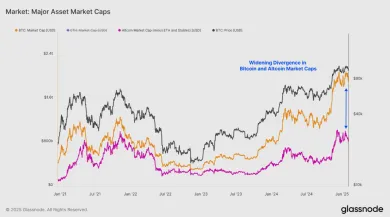 Kapitalizácia BTC a altcoinov