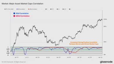 Korelácia BTC a altcoinov